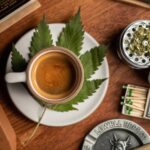 What to Expect – Cannabis Brands
